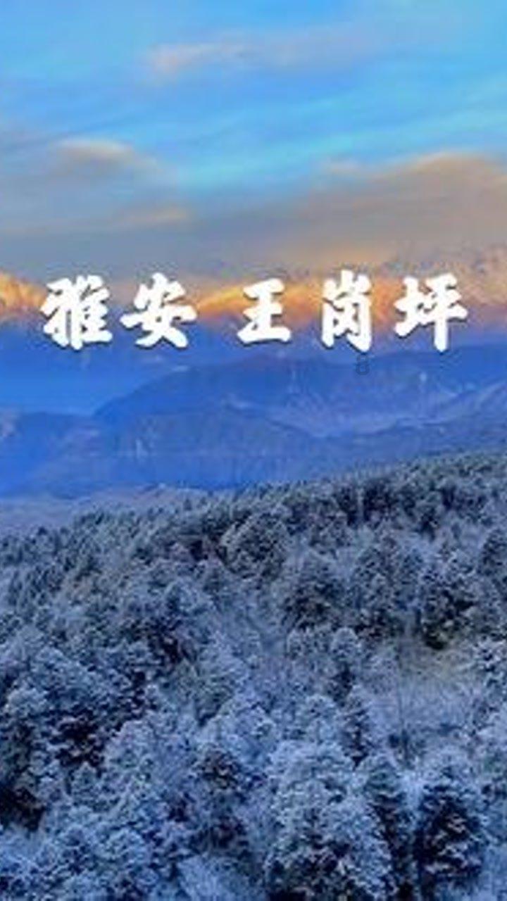 夏日课堂