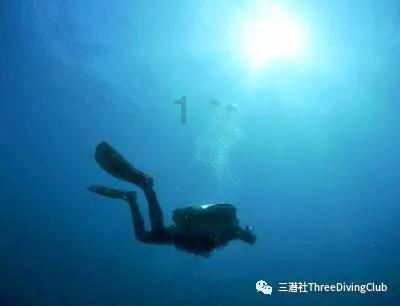 芭比娃娃的服装