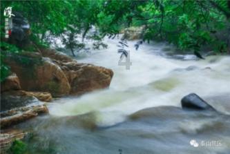 捋线寻珠、笃行不怠,踏寻津郊历史印记