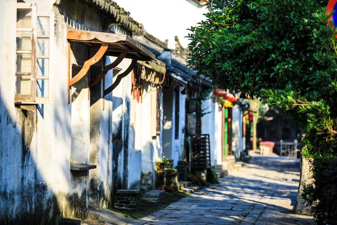 异星探险家